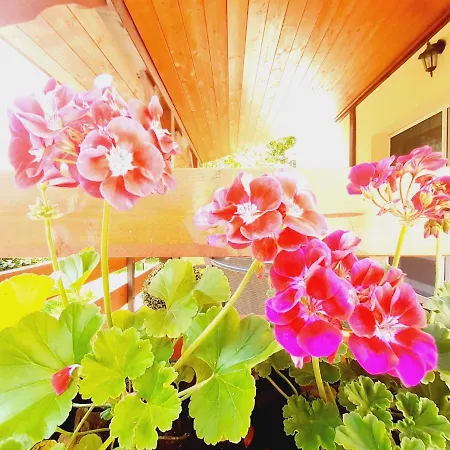 Tatil Evi Laura Medencevel *
